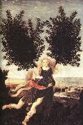 unknow artist Apollo and Daphne - Tempera on wood oil painting reproduction